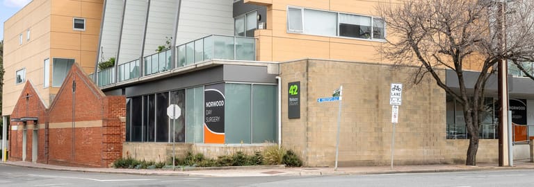 Medical / Consulting commercial property for lease at 42 Nelson Street Stepney SA 5069