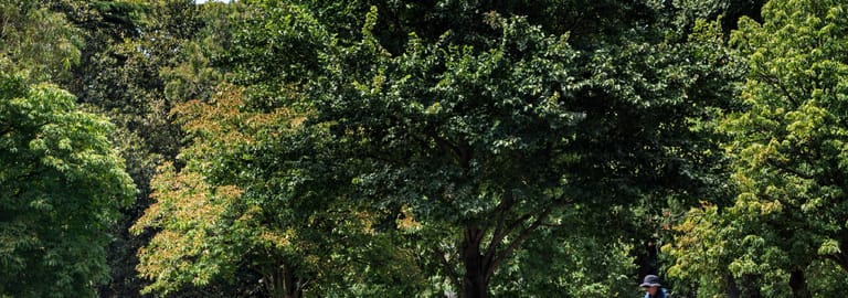 Offices commercial property for lease at 71 Flinders Lane Melbourne VIC 3000