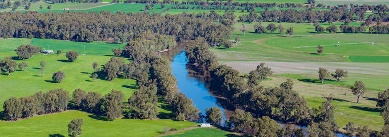 Rural / Farming commercial property for sale at 126 Kneebones Road Wagga Wagga NSW 2650