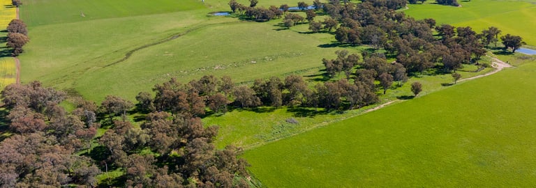 Rural / Farming commercial property for sale at 6 Dudauman Road Stockinbingal NSW 2725