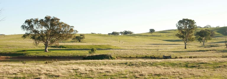 Rural / Farming commercial property for sale at Yarra, Hughstonia Road Binalong NSW 2584