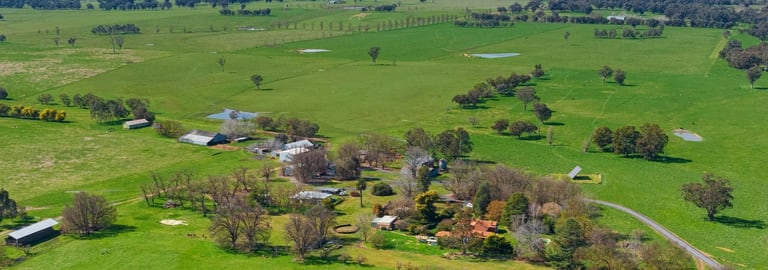 Rural / Farming commercial property for sale at 1969 Jingellic Road Wantagong NSW 2644