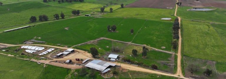Rural / Farming commercial property for sale at Tarcutta NSW 2652