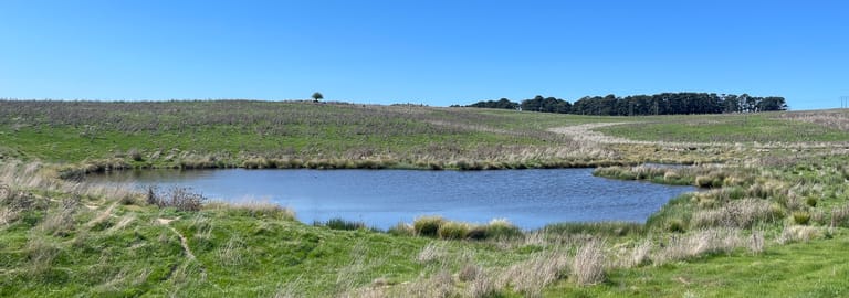 Rural / Farming commercial property for sale at 595 Dog Trap Road Yass NSW 2582
