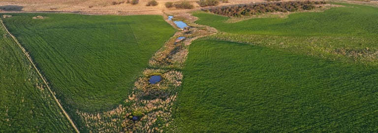 Rural / Farming commercial property for sale at 595 Dog Trap Road Yass NSW 2582