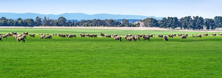 Rural / Farming commercial property for sale at 142 Nile Road Evandale TAS 7212