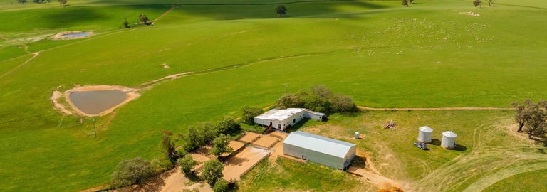 Rural / Farming commercial property for sale at Young NSW 2594