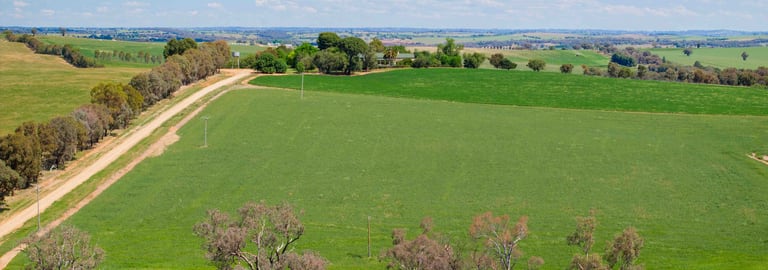 Rural / Farming commercial property for sale at Young NSW 2594