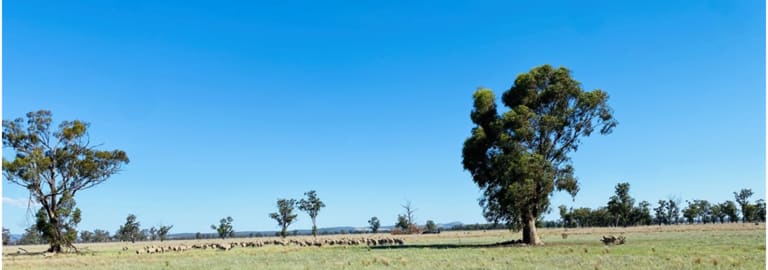 Rural / Farming commercial property for sale at 26 Forest Lodge Lane Grenfell NSW 2810