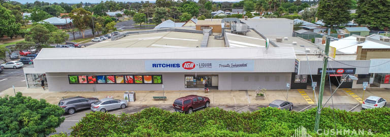 Shop & Retail commercial property for sale at 1-13 Ilex Street Red Cliffs VIC 3496