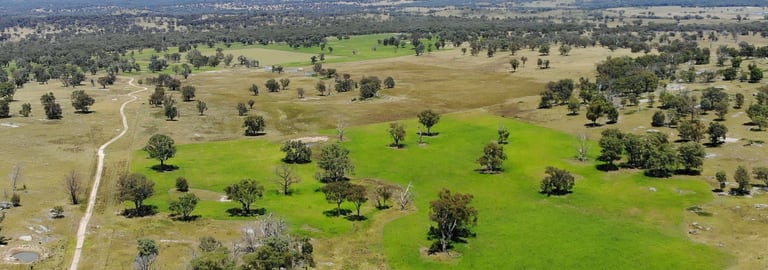 Rural / Farming commercial property for sale at 778 Torryburn Road Yarrowyck NSW 2358