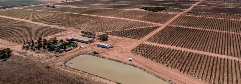 Rural / Farming commercial property for sale at Wallaroo, 6830 Kidman Way Coleambally NSW 2707