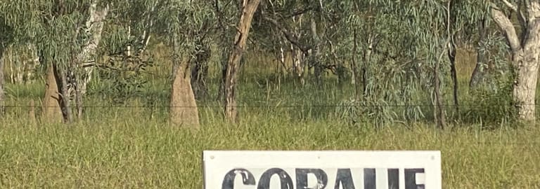 Rural / Farming commercial property for sale at None Coralie Coralie QLD 4871