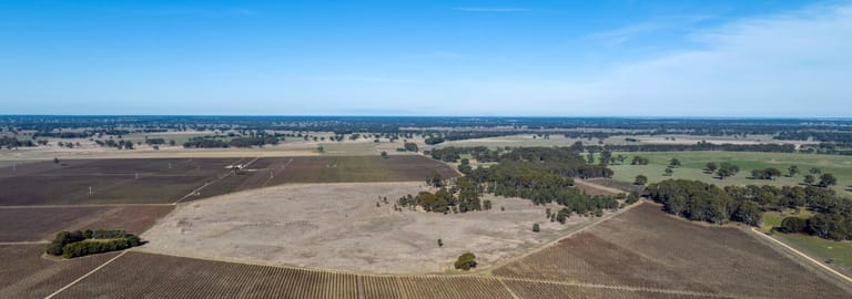 Rural / Farming commercial property for sale at Limestone Quarry Vineyard 718 Rochow Wrays Road Koppamurra SA 5271