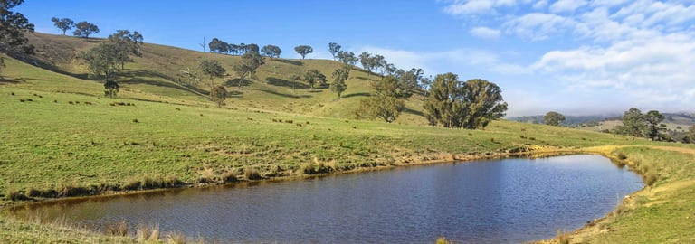 Rural / Farming commercial property for sale at 225 Glen Creek Road Bonnie Doon VIC 3720