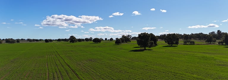 Rural / Farming commercial property for sale at 47 Adios Lane Bogan Gate NSW 2876