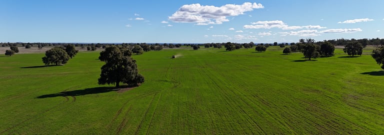 Rural / Farming commercial property for sale at 47 Adios Lane Bogan Gate NSW 2876