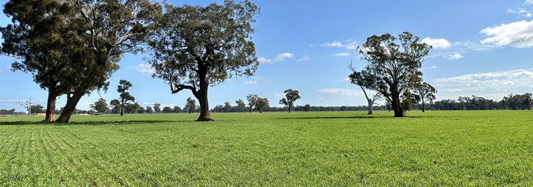 Rural / Farming commercial property for sale at Wagga Wagga NSW 2650