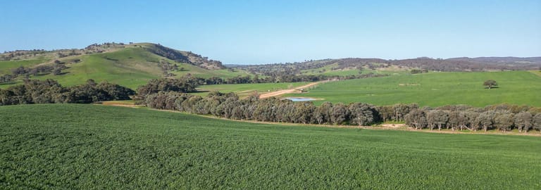 Rural / Farming commercial property for sale at 146 Pulletop Road Pulletop NSW 2650