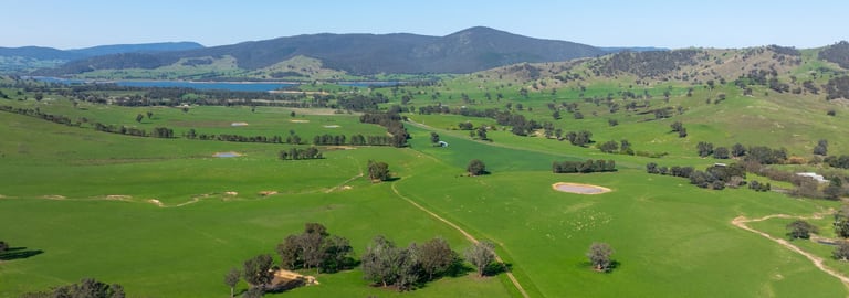 Rural / Farming commercial property for sale at 1949 Wymah Road Wymah NSW 2640