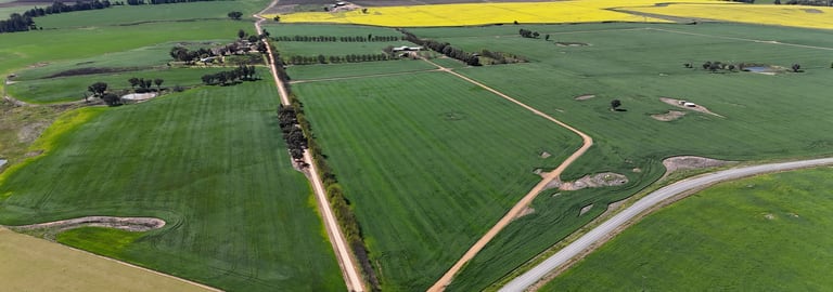 Rural / Farming commercial property for sale at 3650 Belubula Way Canowindra NSW 2804