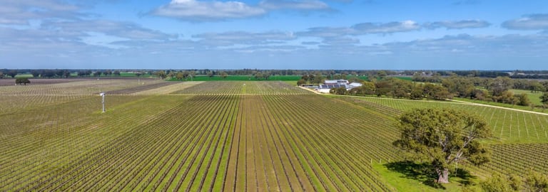 Rural / Farming commercial property for sale at Penley Estate 148 McLean Road Coonawarra SA 5263