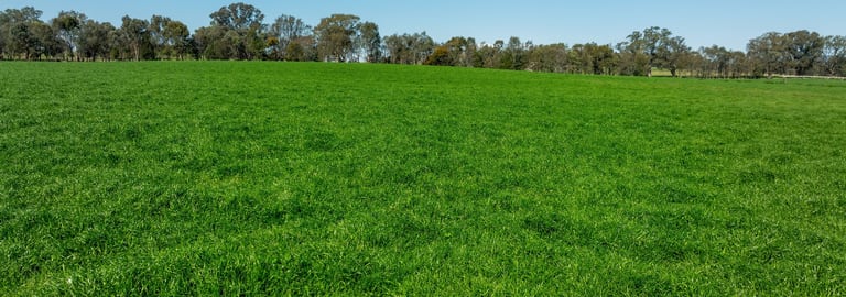 Rural / Farming commercial property for sale at 20 Plantation Lane Table Top NSW 2640