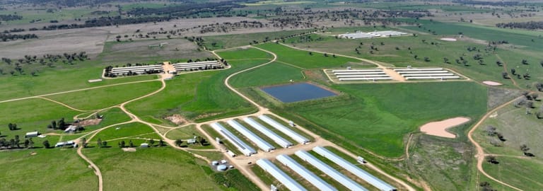 Rural / Farming commercial property for sale at Tharri 307 Rushes Creek Road Klori NSW 2346