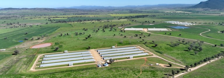 Rural / Farming commercial property for sale at Tharri 307 Rushes Creek Road Klori NSW 2346