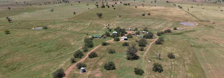 Rural / Farming commercial property for sale at 213 Nevilles Road Yeoval NSW 2868