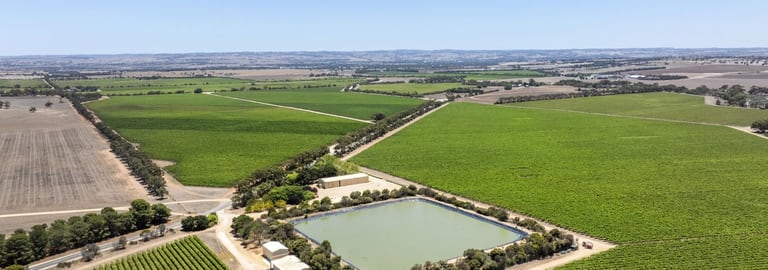 Rural / Farming commercial property for sale at 179 Milang Road Belvidere SA 5255