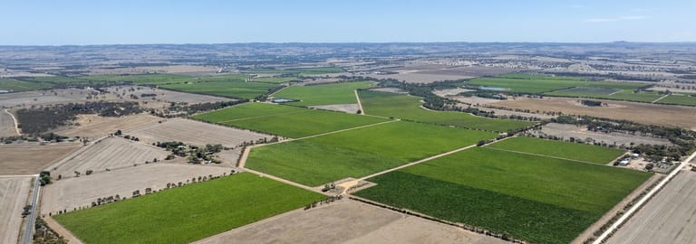 Rural / Farming commercial property for sale at 179 Milang Road Belvidere SA 5255