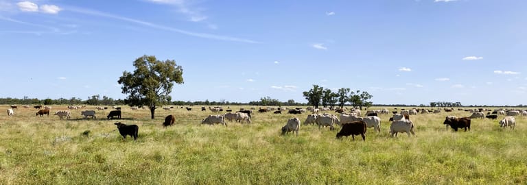 Other commercial property for sale at 2369 Eureka Plains Road Enngonia NSW 2840
