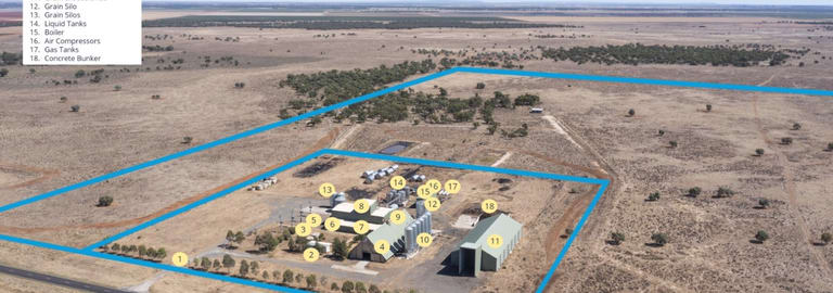 Rural / Farming commercial property for sale at 516 Mossgiel Road Hillston NSW 2675