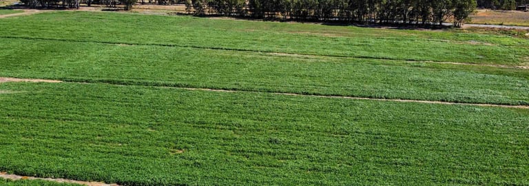 Rural / Farming commercial property for sale at 127 Orrs Road Gannawarra VIC 3568