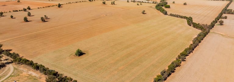 Rural / Farming commercial property for sale at 226 Cloughs Road Wagga Wagga NSW 2650