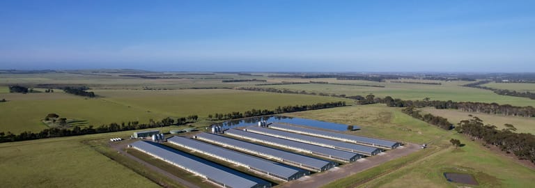 Rural / Farming commercial property for sale at 124 Windermere Road Murgheboluc VIC 3218