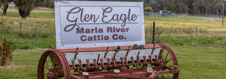 Rural / Farming commercial property for sale at McPhee Beef Farms 2697 Kangaroo Flat Road Yarrowitch NSW 2354