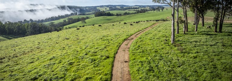 Rural / Farming commercial property for sale at McPhee Beef Farms 2697 Kangaroo Flat Road Yarrowitch NSW 2354