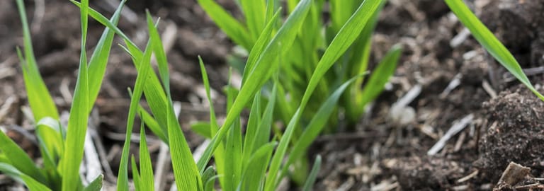 Rural / Farming commercial property for sale at Beverly Farming Portfolio Rich Avon, Rich Avon West & Marnoo Rich Avon VIC 3480