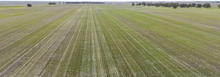 Rural / Farming commercial property for sale at Beverly Farming Portfolio Rich Avon, Rich Avon West & Marnoo Rich Avon VIC 3480