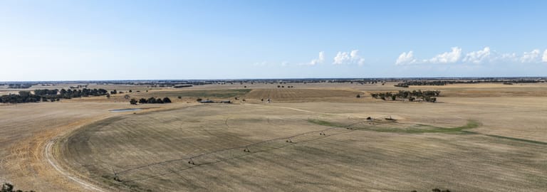 Rural / Farming commercial property for sale at 2090 & 2210 Senior Road Senior SA 5268