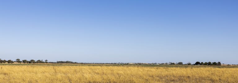 Rural / Farming commercial property for sale at 2090 & 2210 Senior Road Senior SA 5268