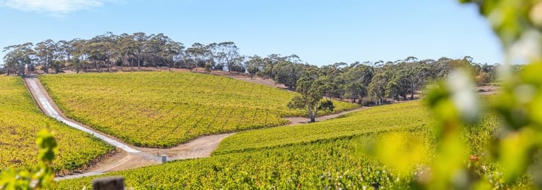 Rural / Farming commercial property for sale at Hahndorf SA 5245