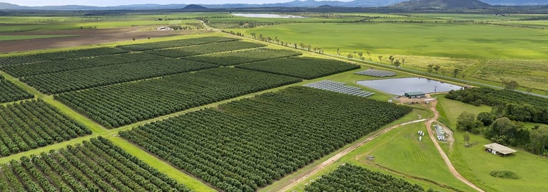 Rural / Farming commercial property for sale at Mareeba Dimbulah Road Arriga QLD 4880