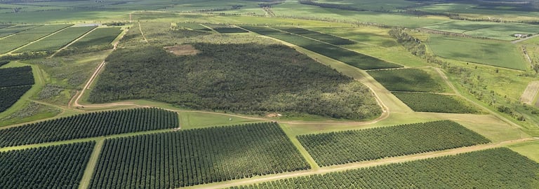 Rural / Farming commercial property for sale at Mareeba Dimbulah Road Arriga QLD 4880