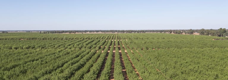 Rural / Farming commercial property for sale at 989 Euroley Road Euroley NSW 2700