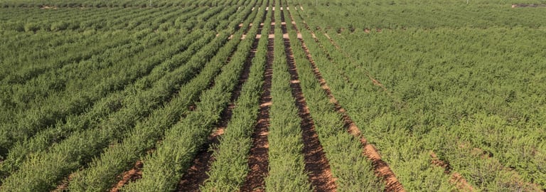 Rural / Farming commercial property for sale at 989 Euroley Road Euroley NSW 2700