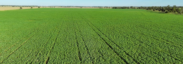 Rural / Farming commercial property for sale at 214 Drillham South Road Drillham QLD 4424