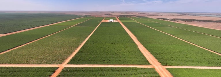 Rural / Farming commercial property for sale at Talia Farms 1251 Stanitzki Road Pike River SA 5340